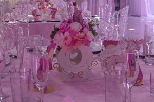 baby shower cochabamba Dolphin centro de eventos