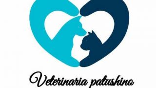 endocrinos en cochabamba Veterinaria Patushino