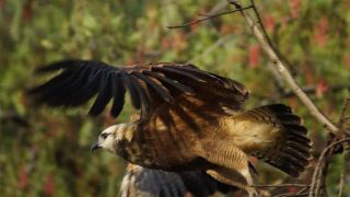 campsites camping cochabamba Laguna Eventos y naturaleza